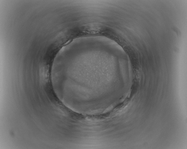 X0000115310818200911231327