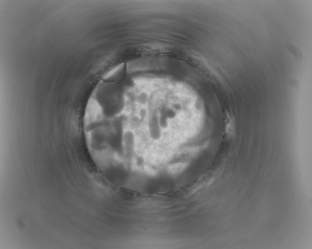 X0000115310819200911231327