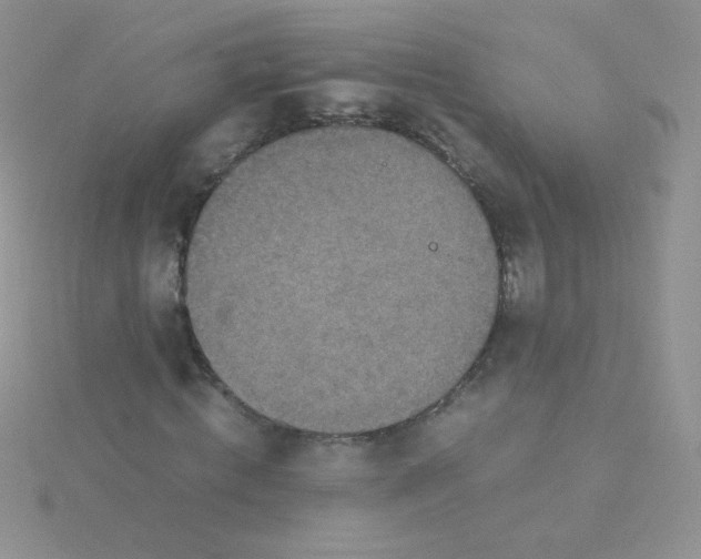 X0000115310820200911231327