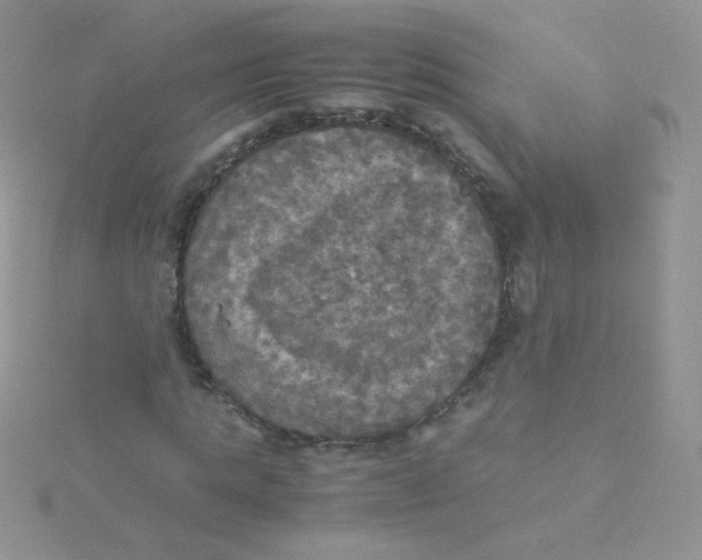 X0000115310821200911231327