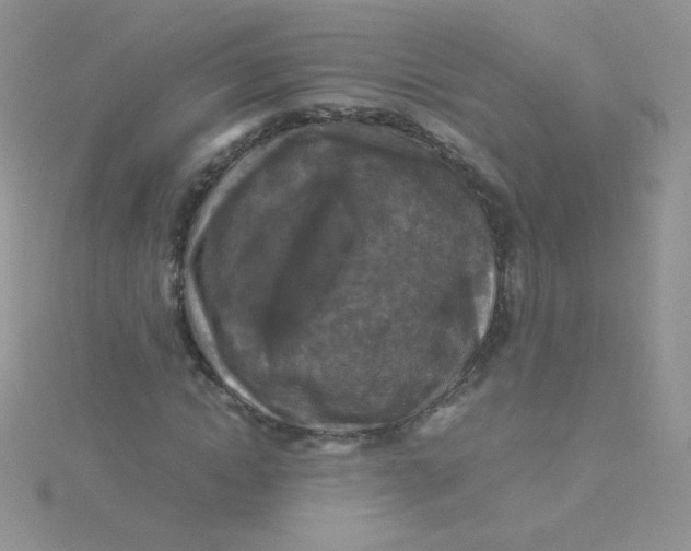 X0000115310822200911231327