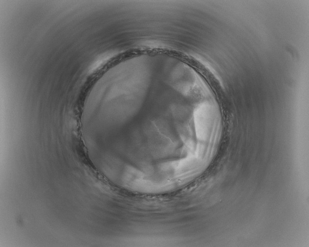 X0000115310823200911231327