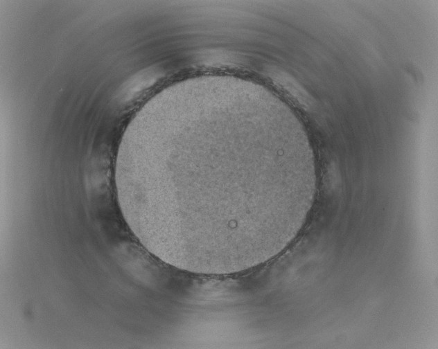 X0000115310824200911231327