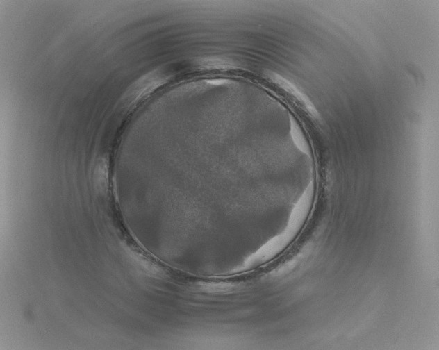 X0000115310825200911231327