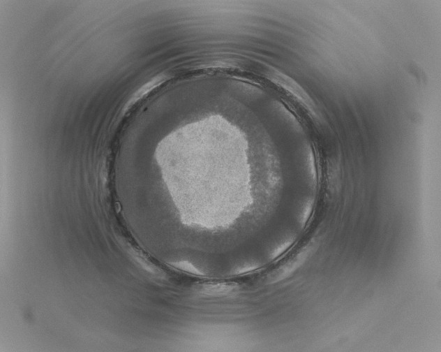 X0000115310826200911231327