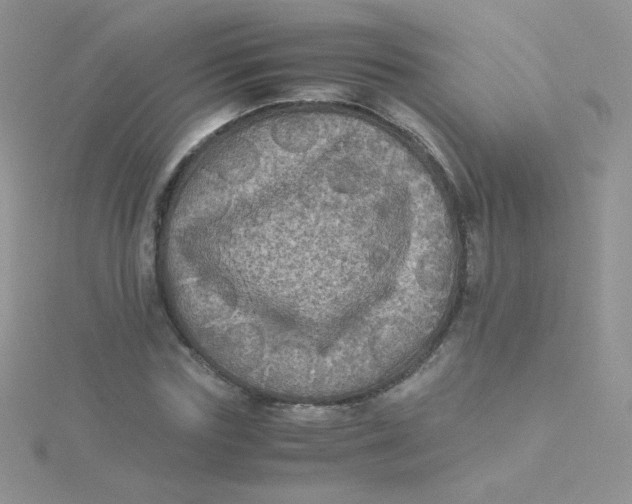 X0000115310827200911231327