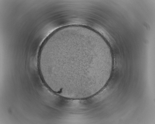 X0000115310828200911231327