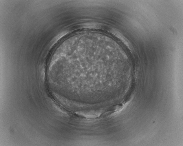 X0000115310829200911231327