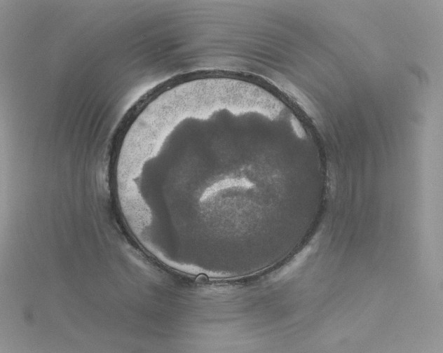 X0000115310830200911231327