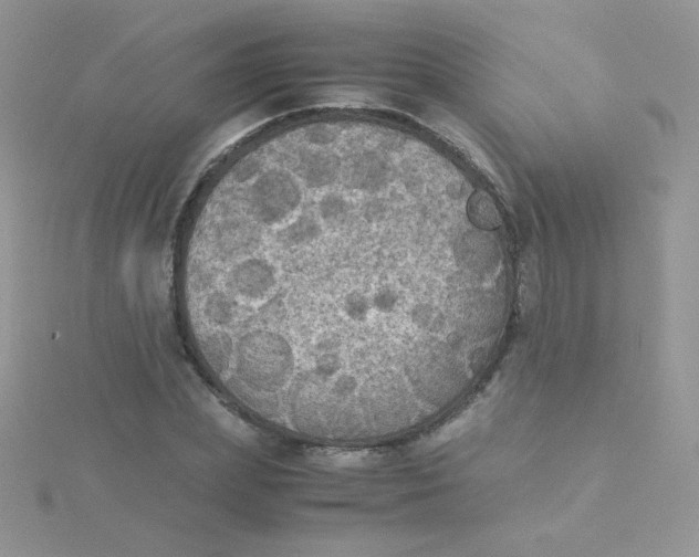 X0000115310831200911231327