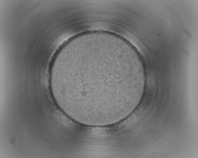 X0000115310832200911231327