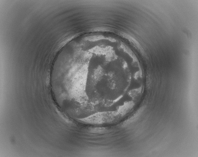 X0000115310833200911231327