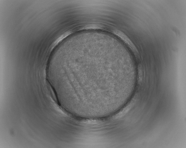 X0000115310834200911231327