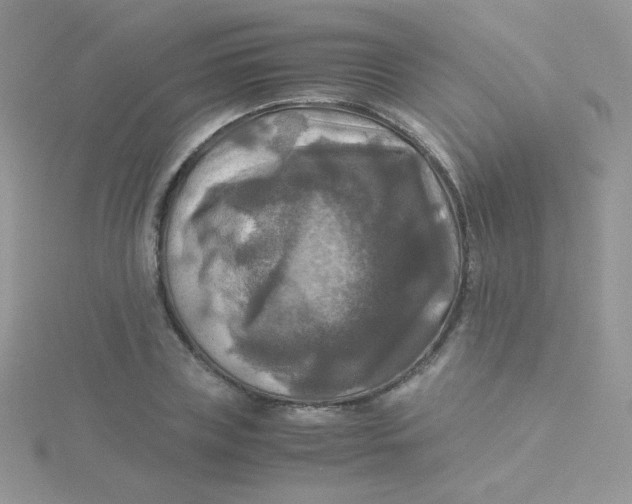 X0000115310835200911231327