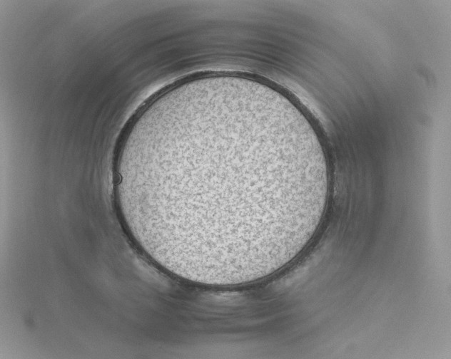 X0000115310837200911231327