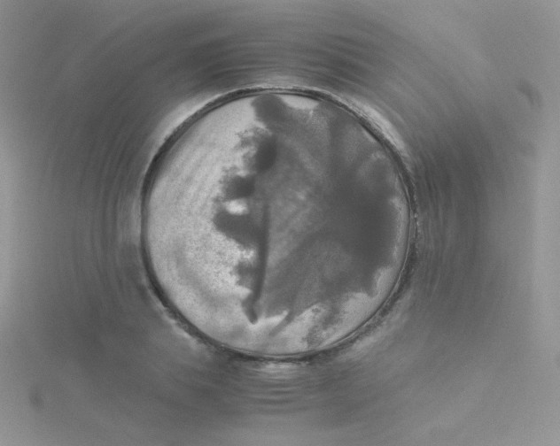 X0000115310839200911231327