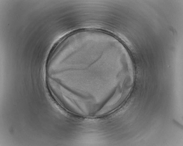 X0000115310840200911231328