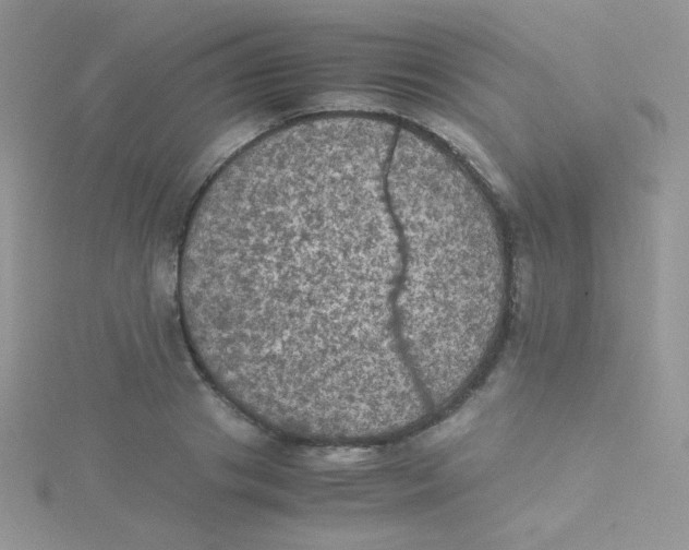 X0000115310841200911231328