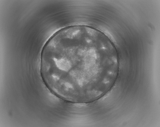 X0000115310844200911231328