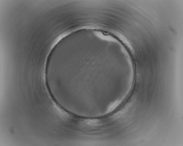 X0000115310845200911231328