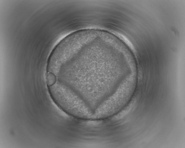 X0000115310847200911231328