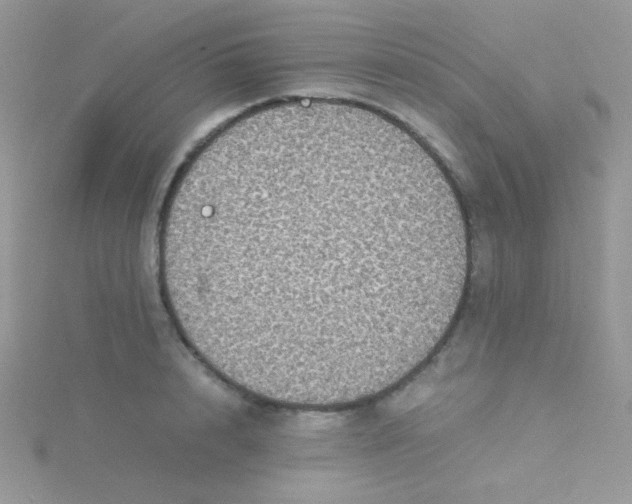 X0000115310848200911231328