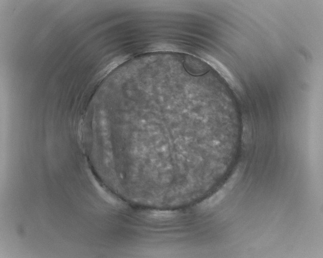 X0000115310849200911231328