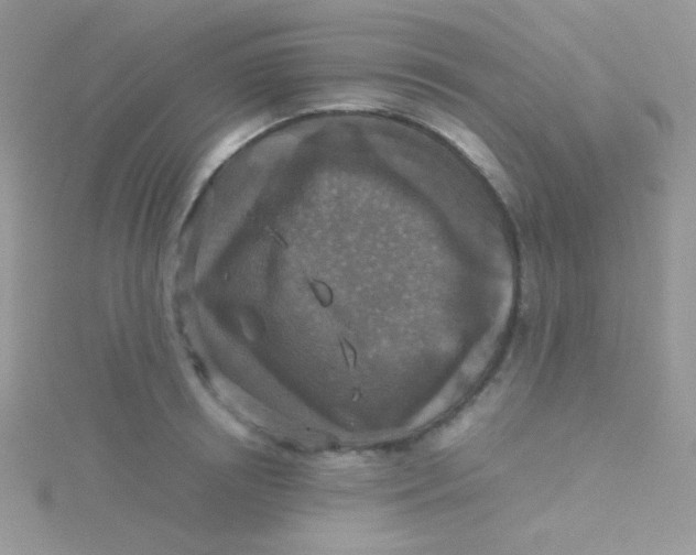 X0000115310850200911231328