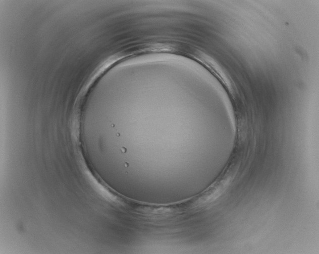 X0000115310851200911231328