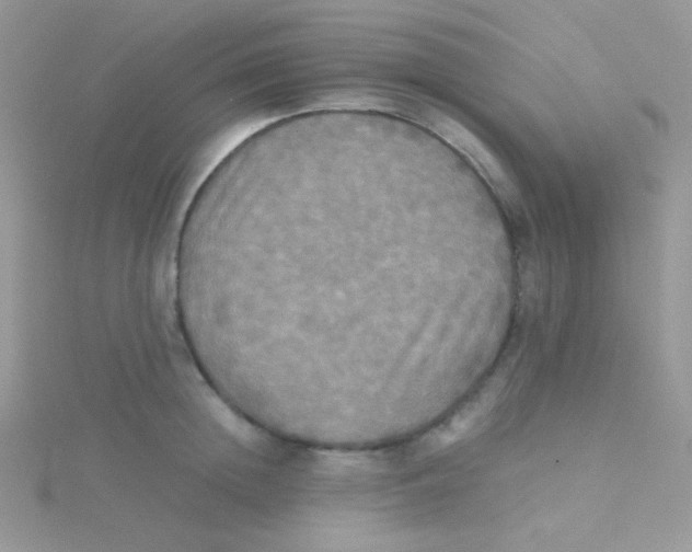 X0000115310852200911231328