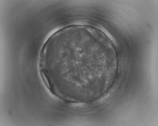 X0000115310853200911231328