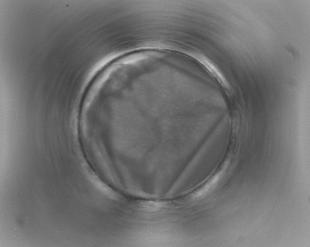 X0000115310854200911231328