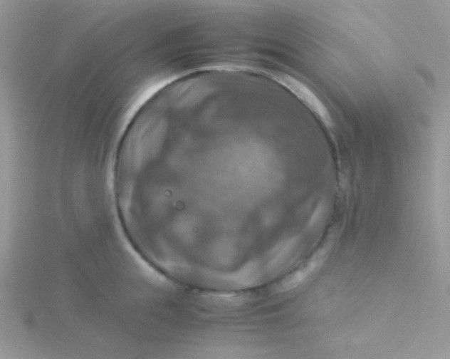 X0000115310855200911231328