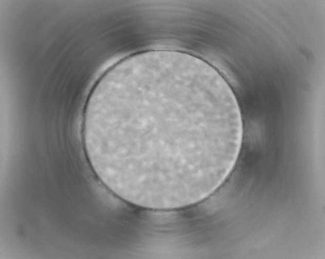 X0000115310856200911231328