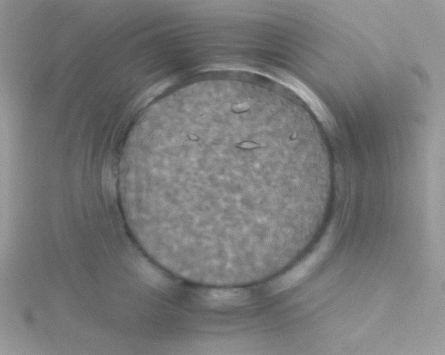 X0000115310857200911231328