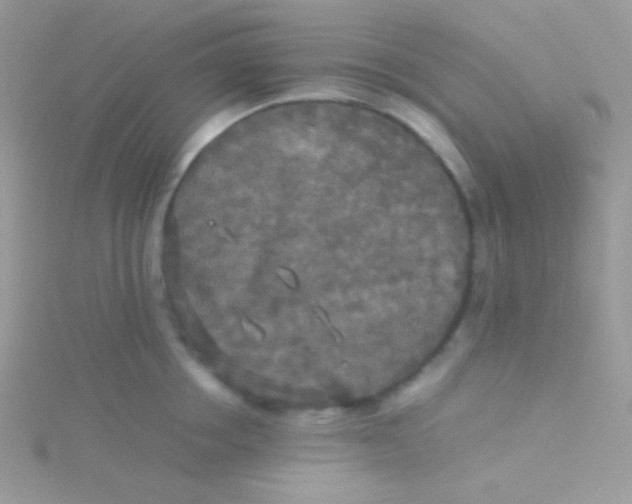 X0000115310858200911231328