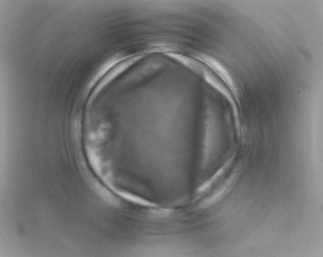 X0000115310859200911231328