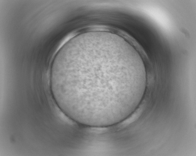 X0000115310860200911231328