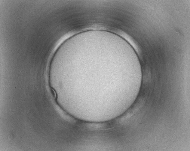 X0000115310861200911231328