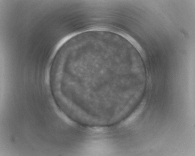 X0000115310862200911231328