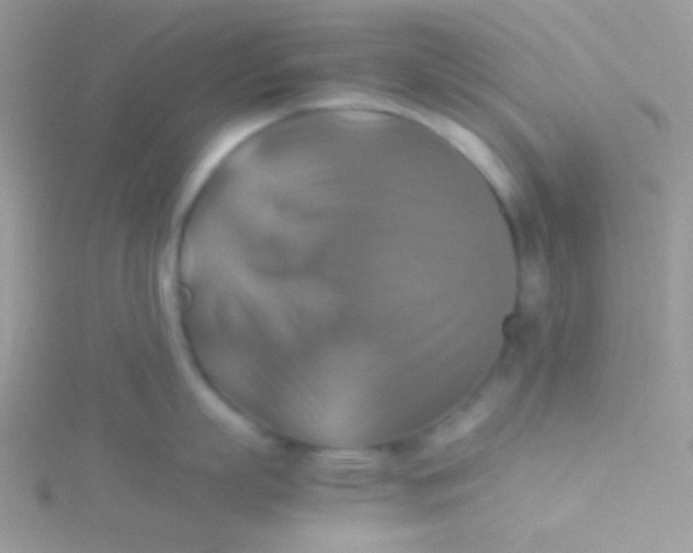 X0000115310863200911231328