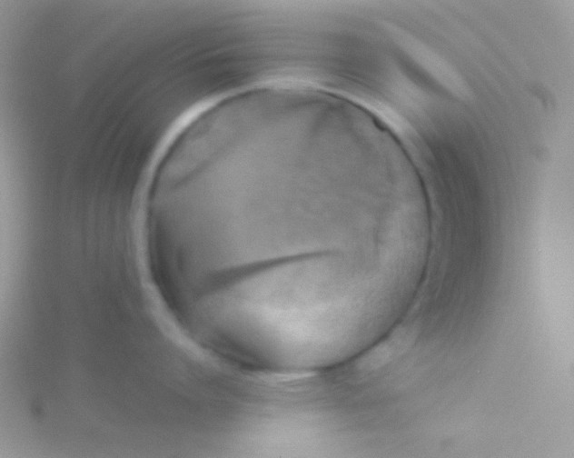 X0000115310864200911231328