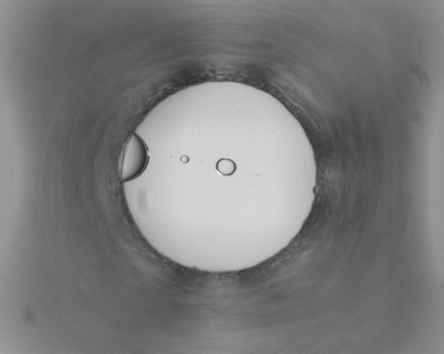 X0000115310865200911231327