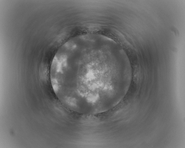 X0000115310866200911231327