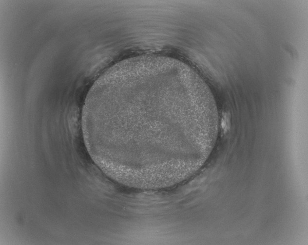 X0000115310867200911231327