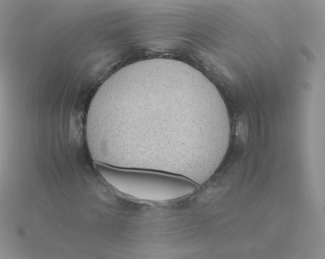 X0000115310868200911231327