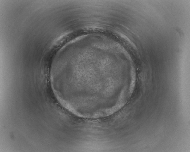 X0000115310870200911231327