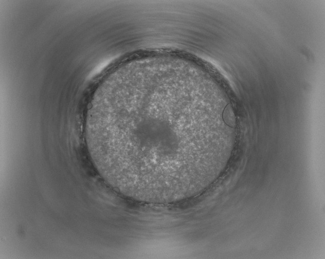 X0000115310871200911231327