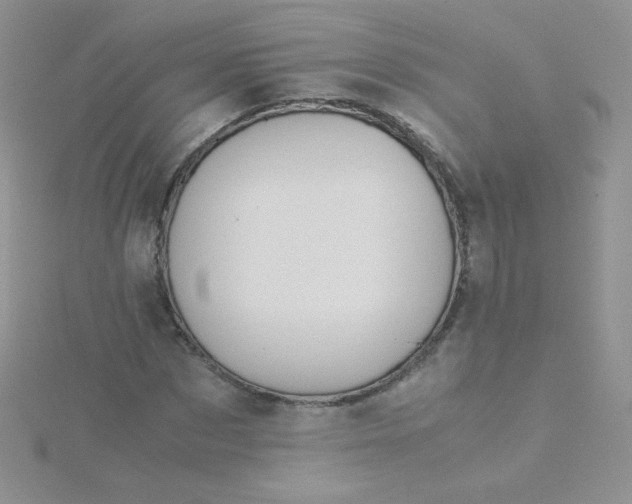 X0000115310873200911231327