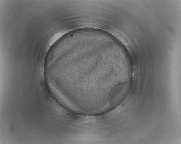 X0000115310877200911231327